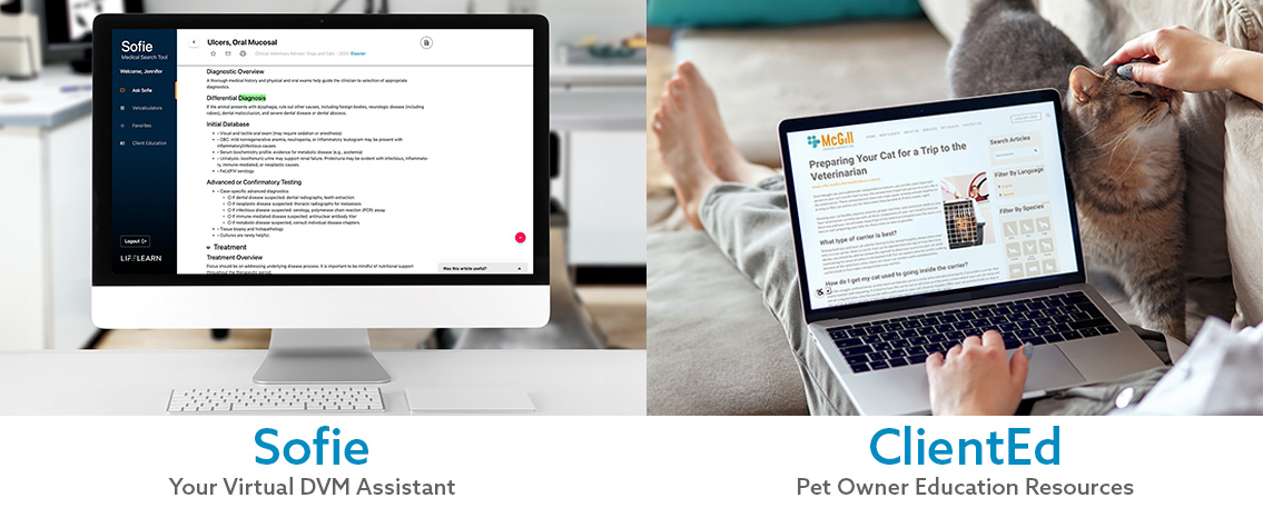 Products ClientEd Sofie